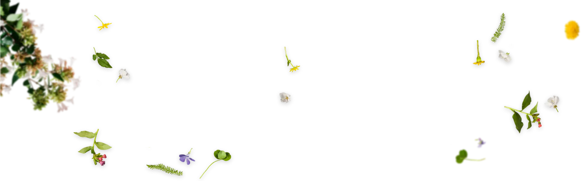 slide-bg-2