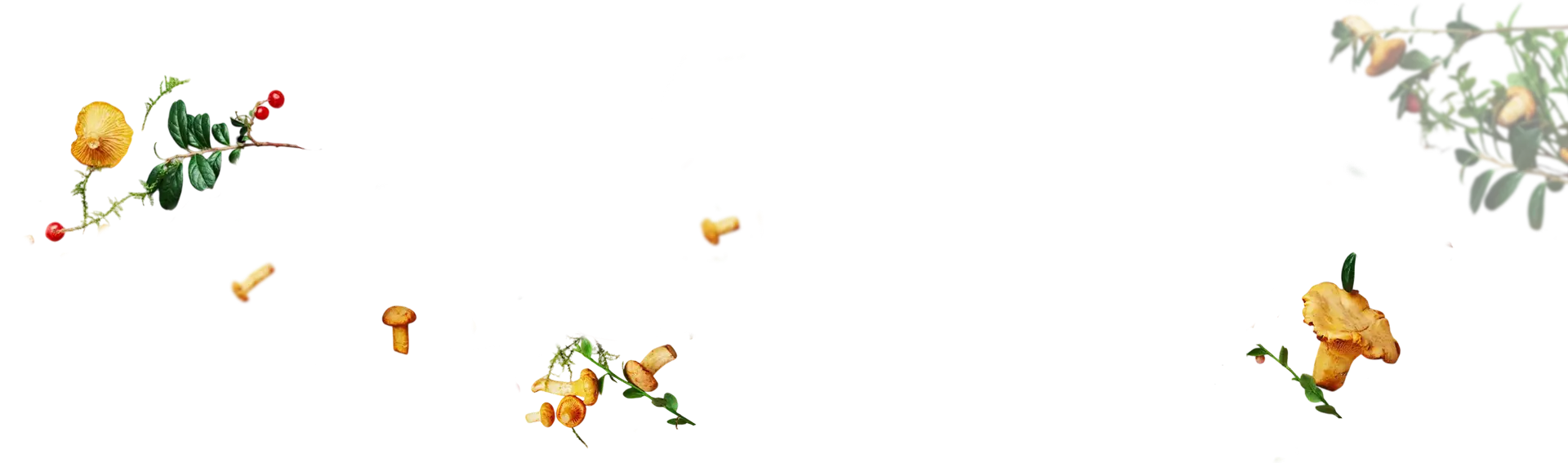 slide-bg-3